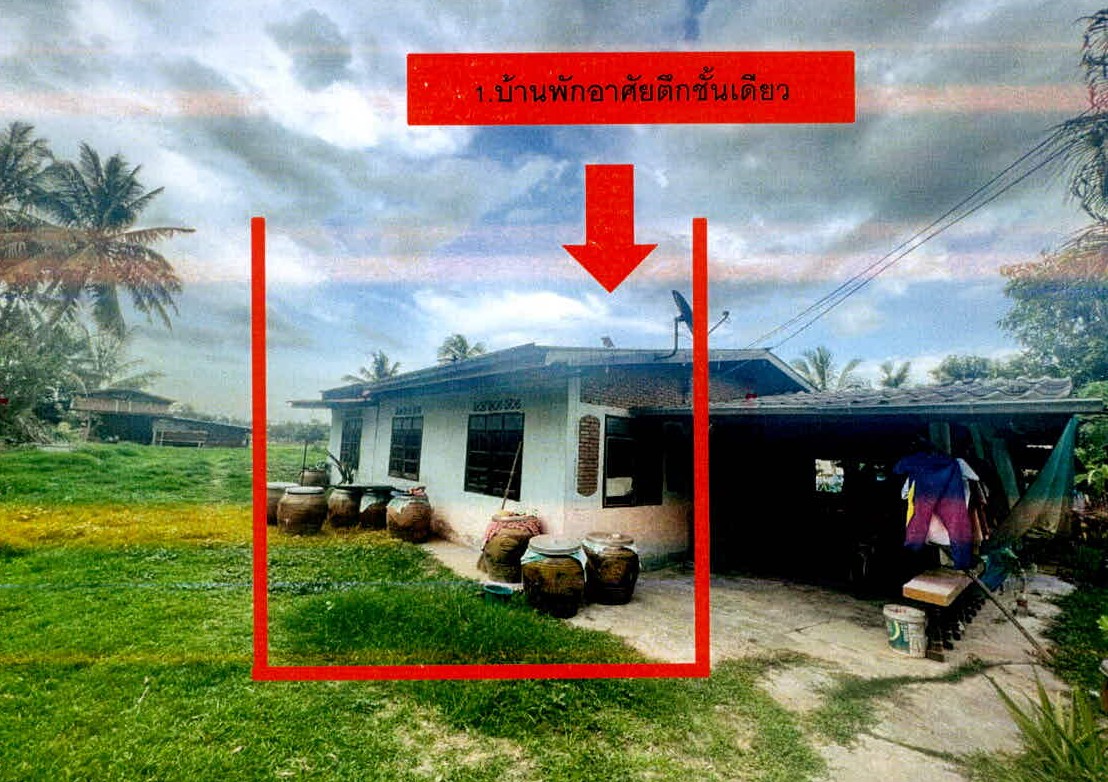 รูปที่ดินพร้อมสิ่งปลูกสร้าง หนองใหญ่ ปราสาท สุรินทร์
