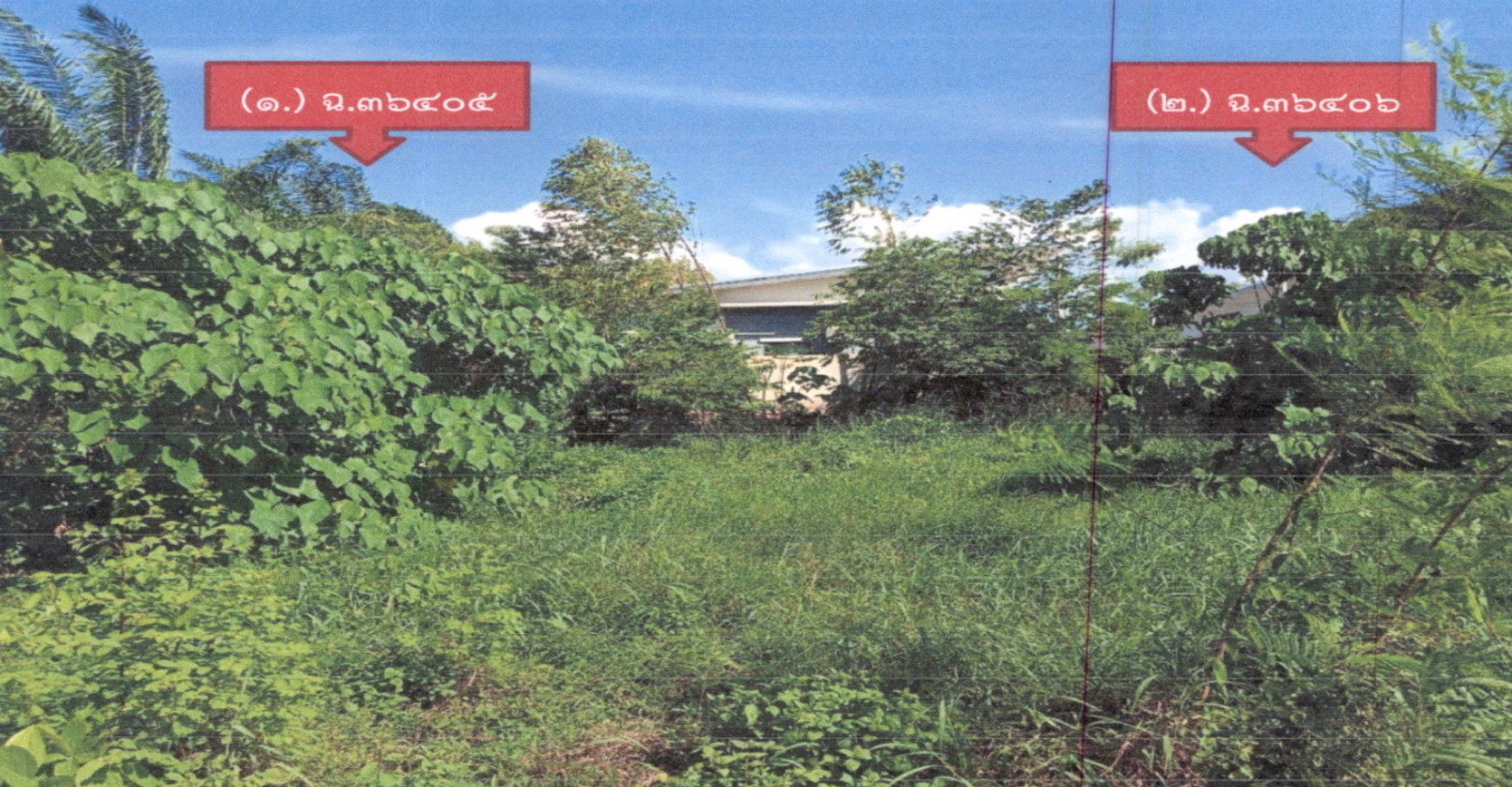รูปที่ดินว่างเปล่า มะขามเตี้ย เมืองสุราษฎร์ธานี สุราษฎร์ธานี