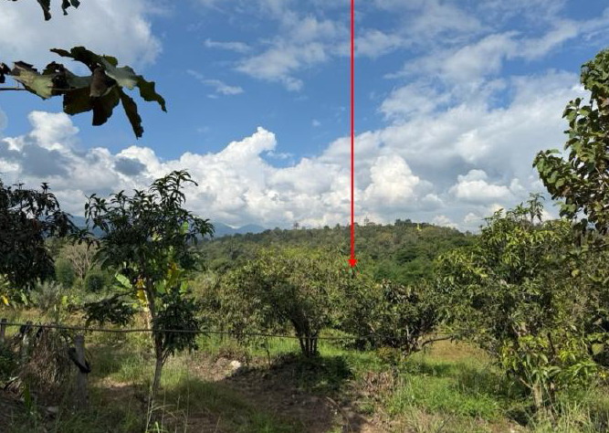 รูปที่ดินว่างเปล่า ศรีวิชัย ลี้ ลำพูน