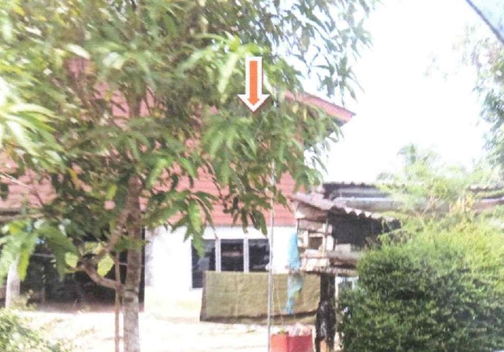 รูปที่ดินพร้อมสิ่งปลูกสร้าง ตะมะยูง ศรีสาคร นราธิวาส