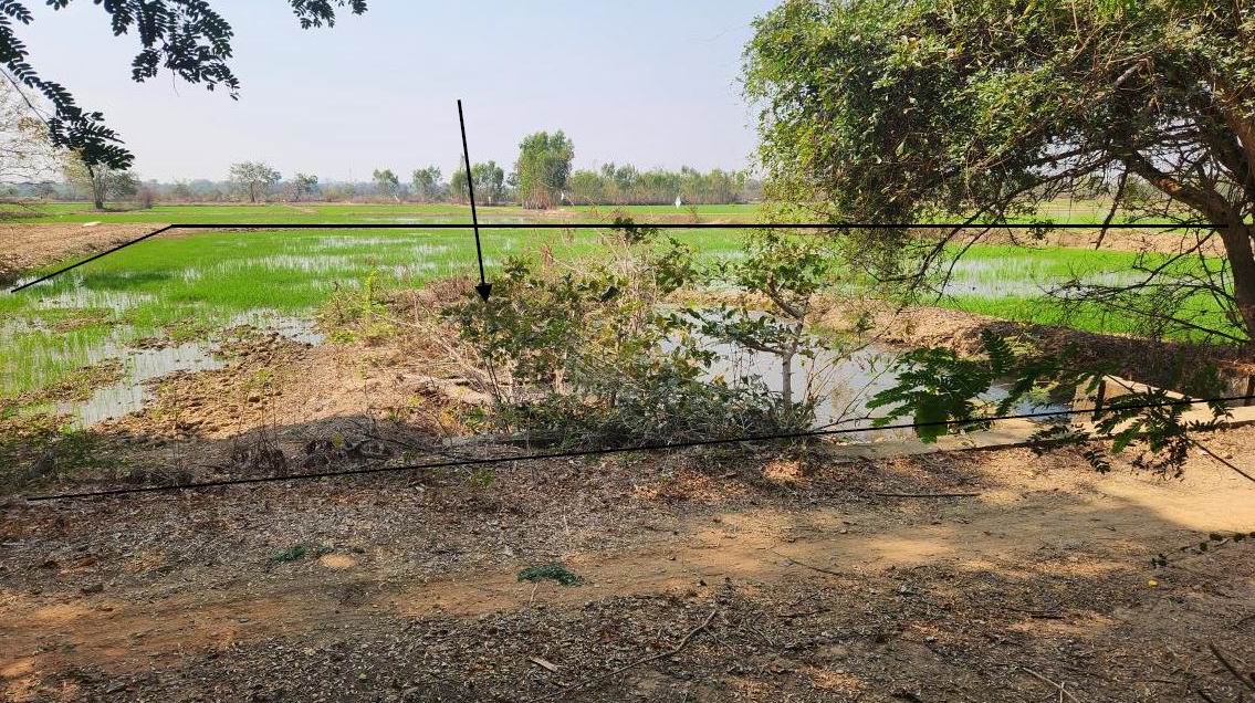 รูปที่ดินว่างเปล่า ม่วง มหาชนะชัย ยโสธร