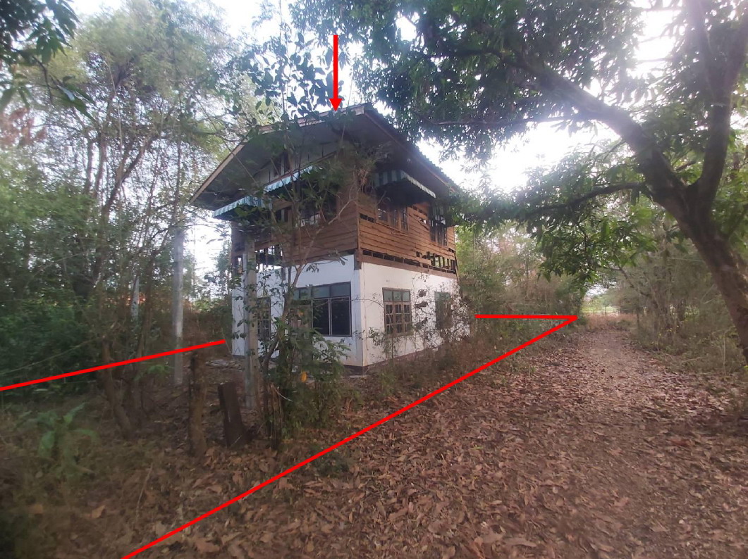รูปที่ดินพร้อมสิ่งปลูกสร้าง บุ่ง เมืองอำนาจเจริญ อำนาจเจริญ