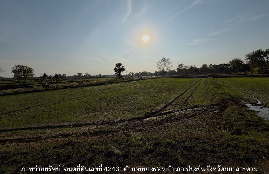 รูปที่ดินว่างเปล่า หนองซอน เชียงยืน มหาสารคาม