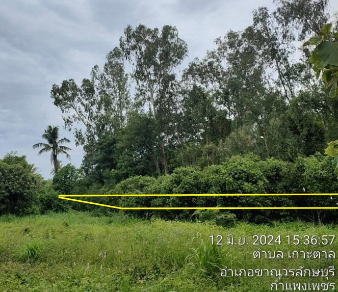 รูปที่ดินว่างเปล่า เกาะตาล ขาณุวรลักษบุรี กำแพงเพชร