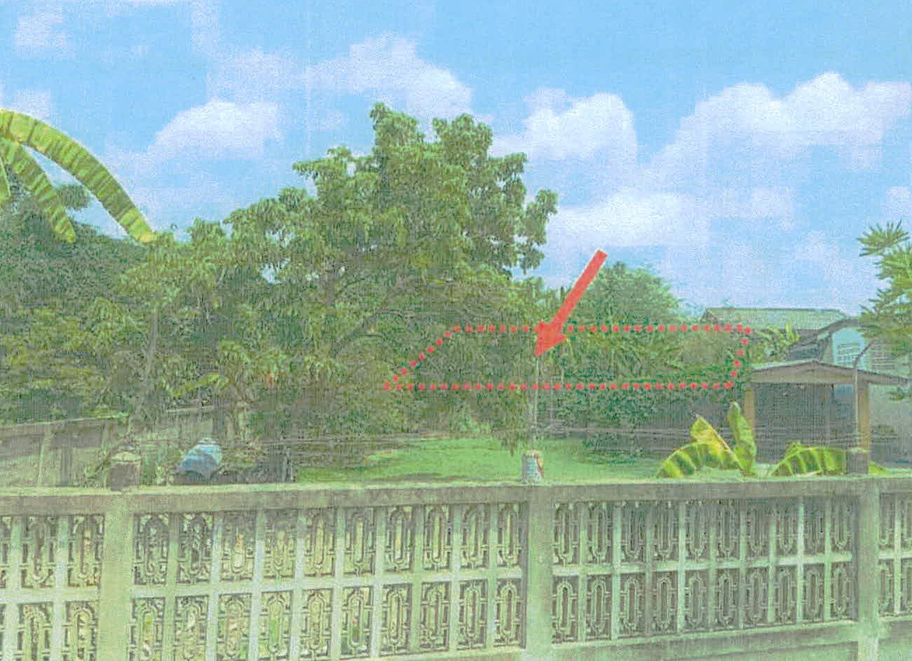 รูปที่ดินว่างเปล่า ชมพู เมืองลำปาง ลำปาง