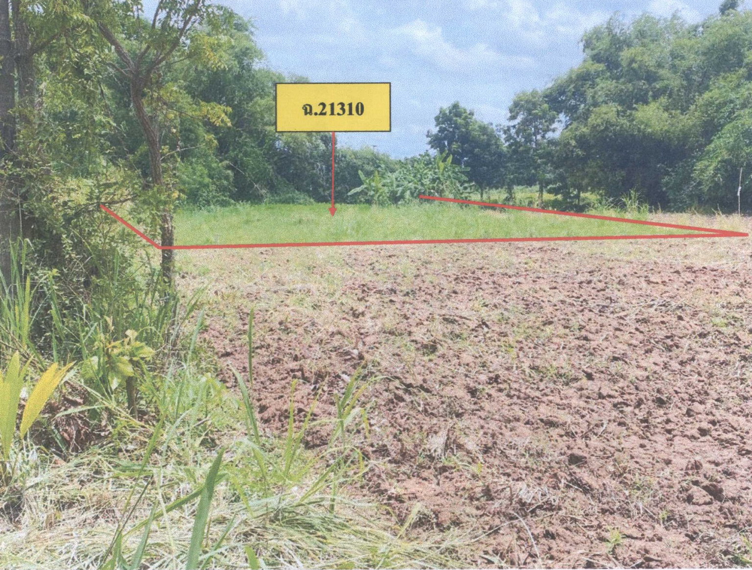 รูปที่ดินว่างเปล่า บางไผ่ บางมูลนาก พิจิตร