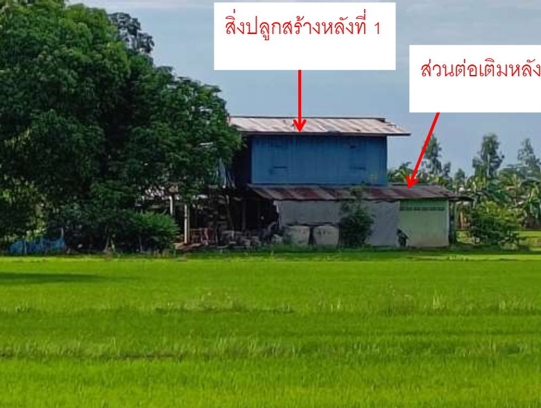 รูปที่ดินพร้อมสิ่งปลูกสร้าง พรหมพิราม พรหมพิราม พิษณุโลก