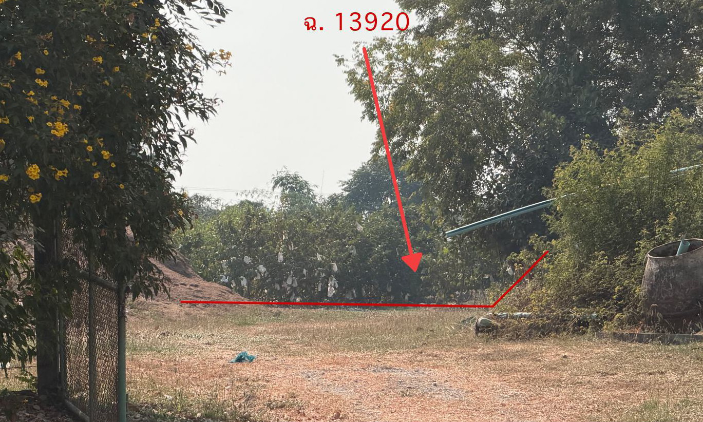 รูปที่ดินว่างเปล่า บางปลาม้า บางปลาม้า สุพรรณบุรี