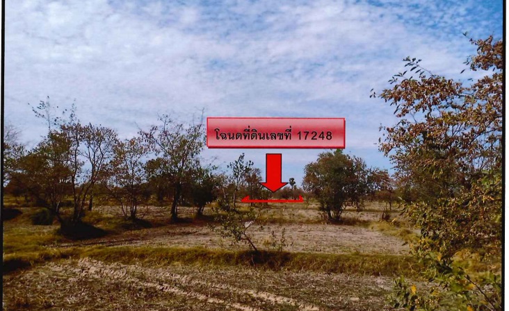 รูปที่ดินว่างเปล่า สำโรง โนนไทย นครราชสีมา
