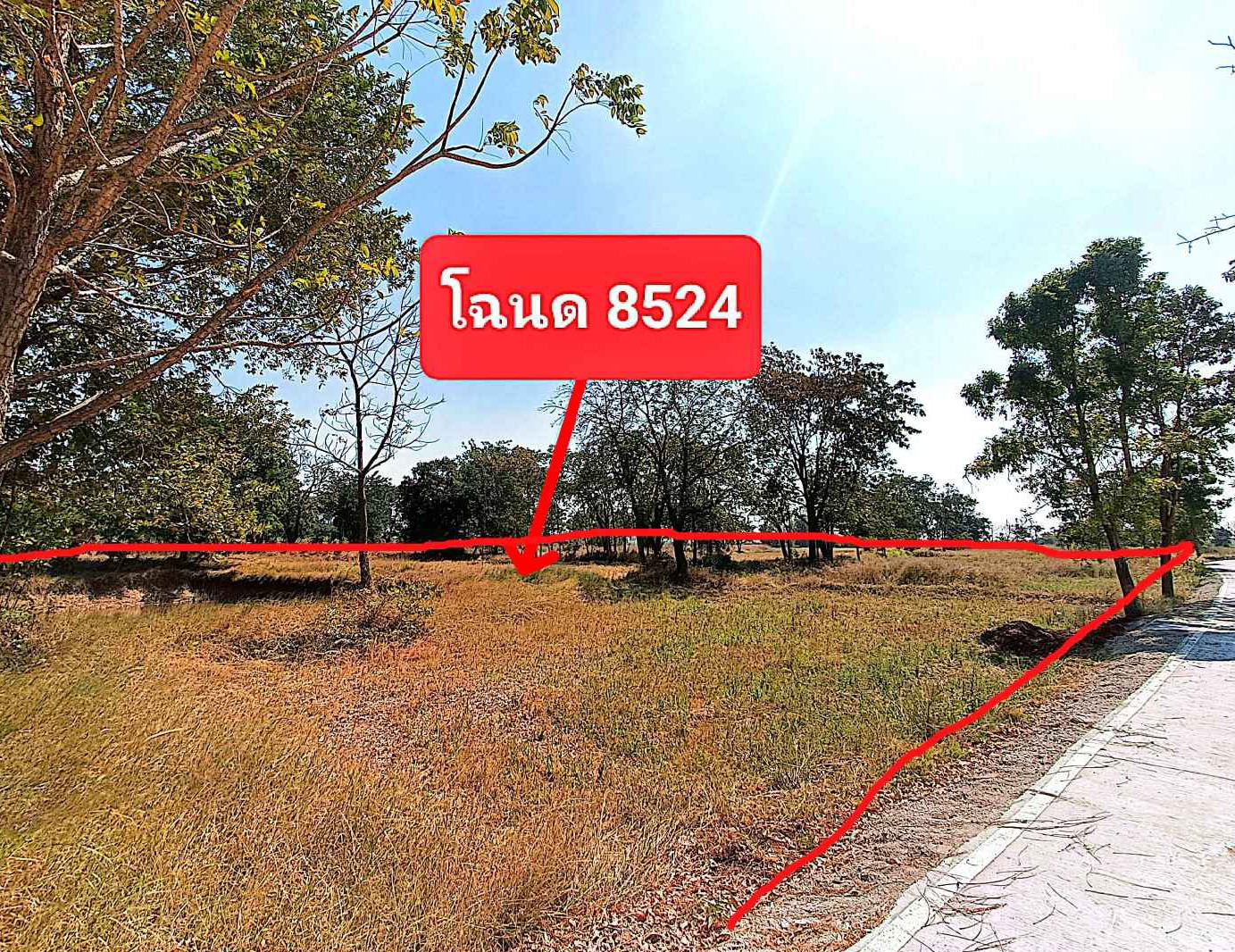 รูปที่ดินว่างเปล่า บ้านแปรง ด่านขุนทด นครราชสีมา