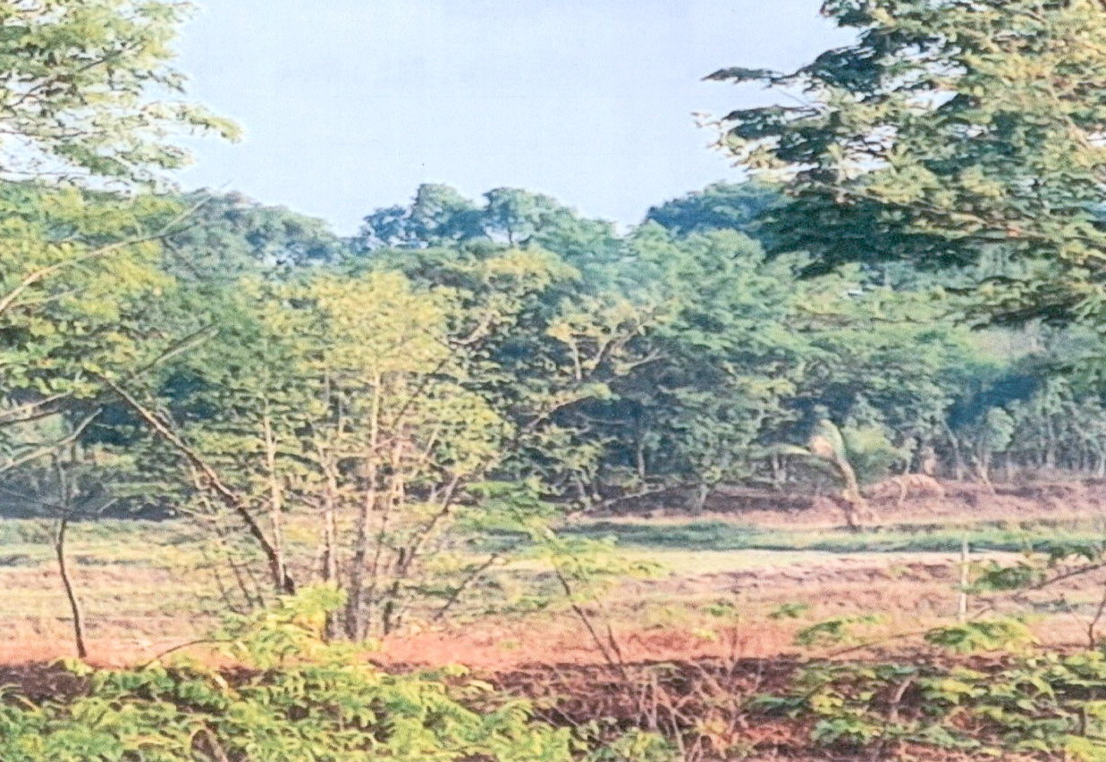รูปที่ดินว่างเปล่า ลำปาว เมืองกาฬสินธุ์ กาฬสินธุ์