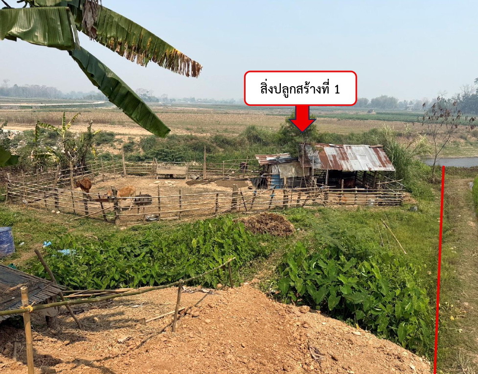 รูปที่ดินพร้อมสิ่งปลูกสร้าง ปง ปง พะเยา