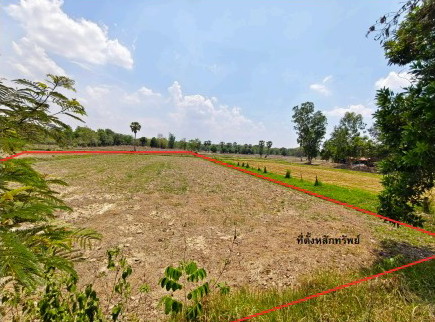 รูปที่ดินว่างเปล่า สระใคร สระใคร หนองคาย