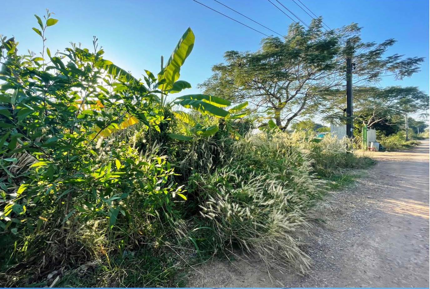 รูปที่ดินว่างเปล่า บางปรอก เมืองปทุมธานี ปทุมธานี