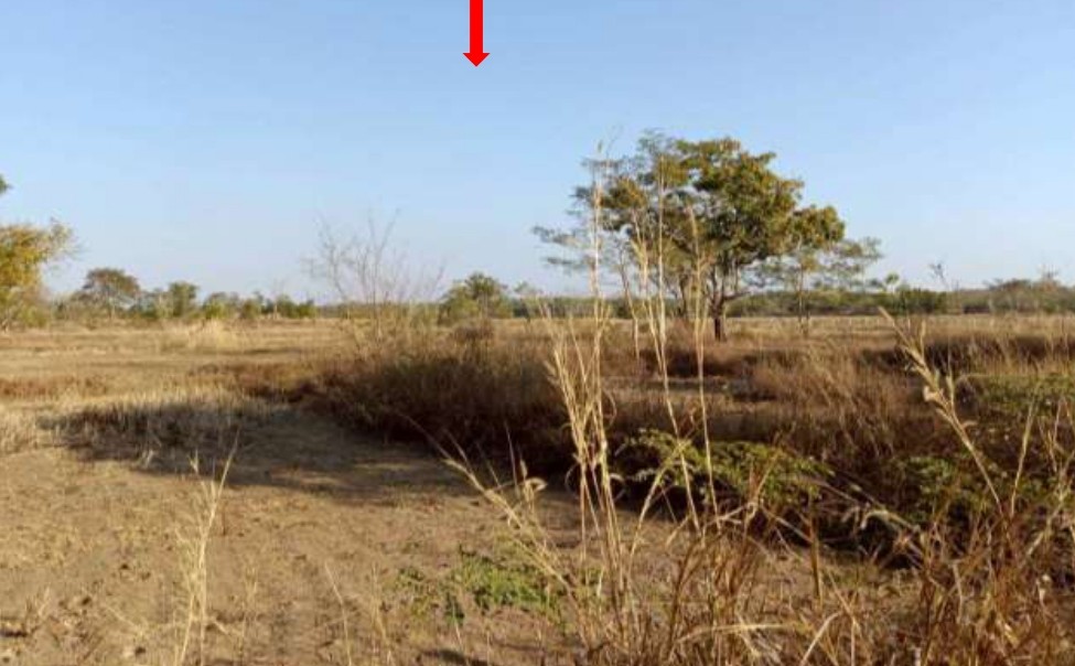 รูปที่ดินว่างเปล่า อุ่มจาน กุสุมาลย์ สกลนคร