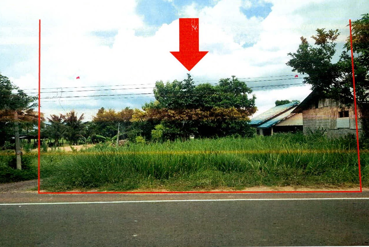 รูปที่ดินว่างเปล่า สำเภาลูน บัวเชด สุรินทร์