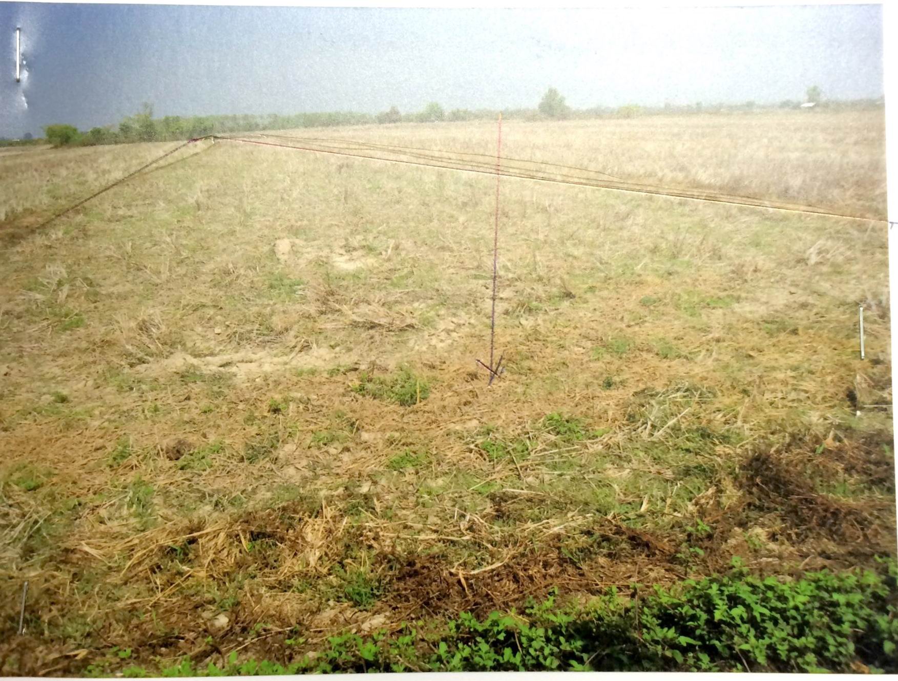 รูปที่ดินว่างเปล่า บ้านแป้น เมืองลำพูน ลำพูน