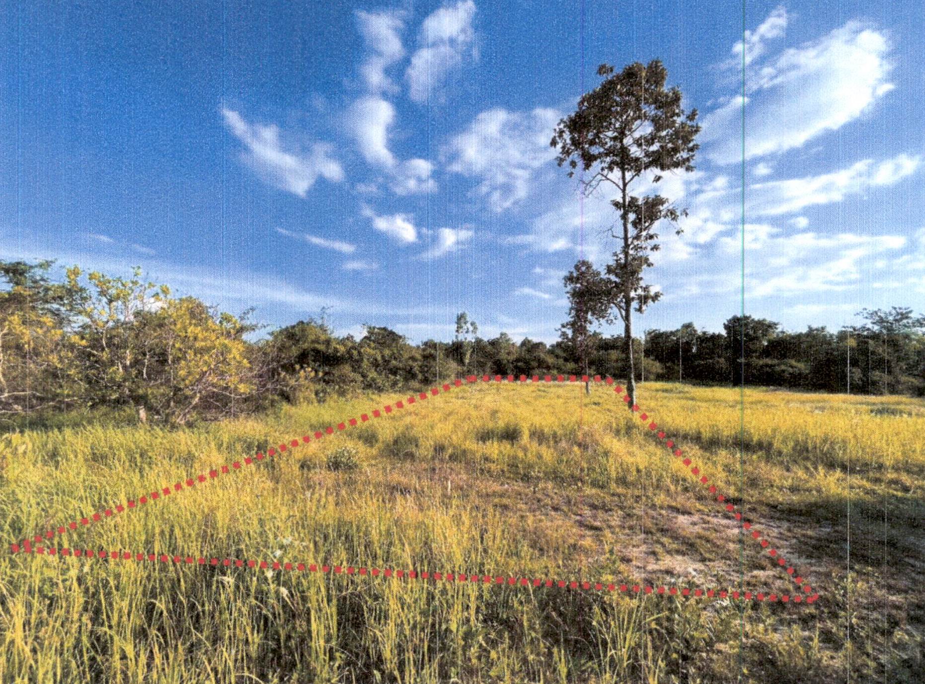 รูปที่ดินว่างเปล่า นาดี นาเยีย อุบลราชธานี