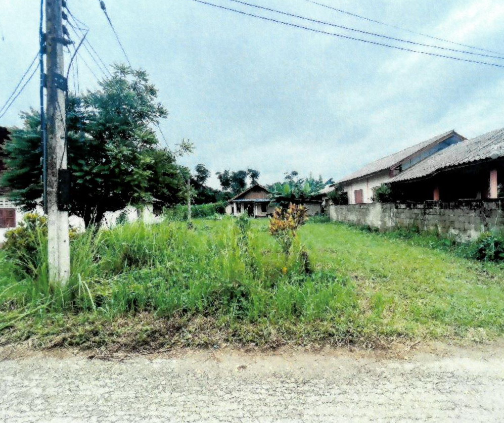 รูปที่ดินพร้อมสิ่งปลูกสร้าง สถาน เชียงของ เชียงราย