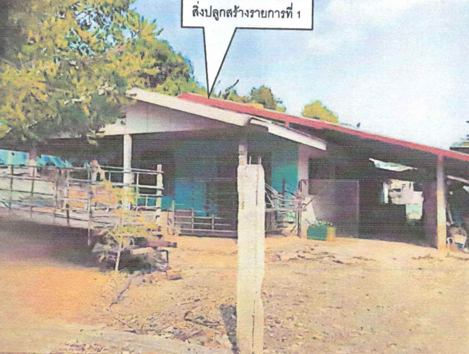 รูปที่ดินพร้อมสิ่งปลูกสร้าง นาดอกคำ นาด้วง เลย