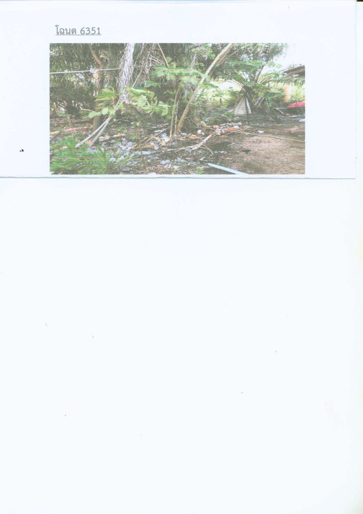 รูปที่ดินว่างเปล่า ท่าศาลา ท่าศาลา นครศรีธรรมราช