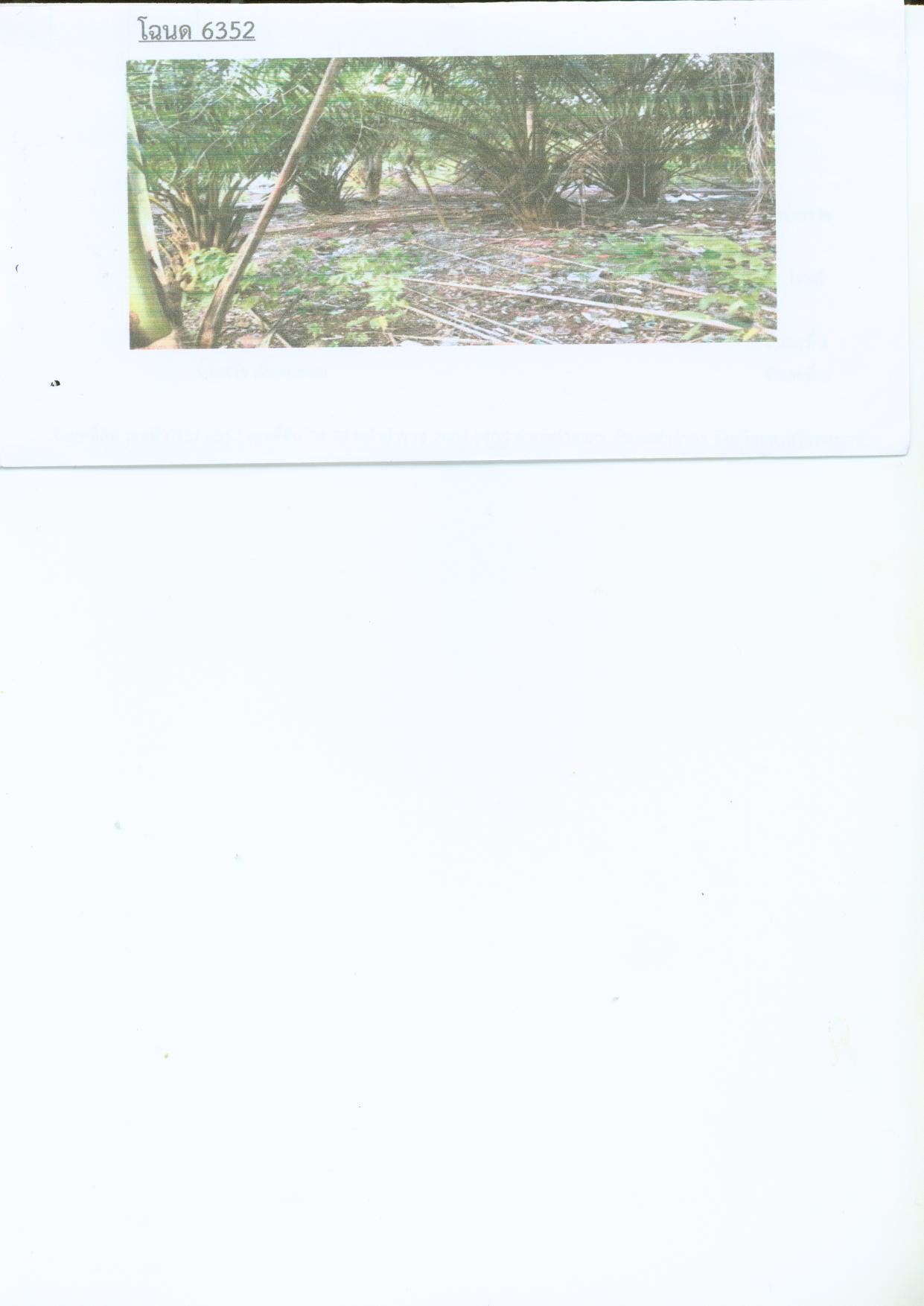 รูปที่ดินว่างเปล่า ท่าศาลา ท่าศาลา นครศรีธรรมราช