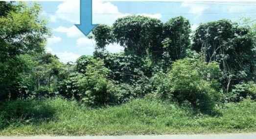 รูปที่ดินว่างเปล่า สตึก สตึก บุรีรัมย์