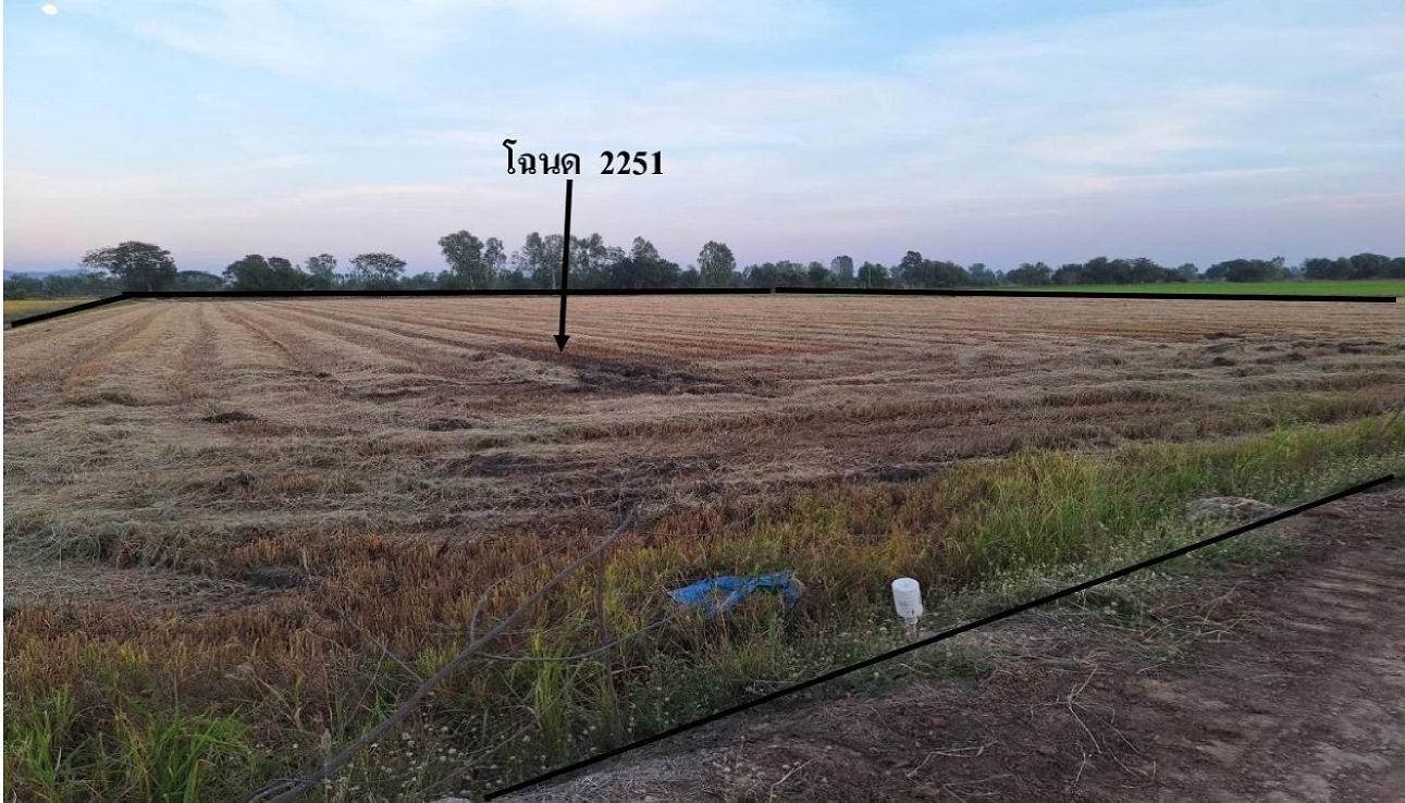 รูปที่ดินว่างเปล่า หนองหม้อ ตาคลี นครสวรรค์
