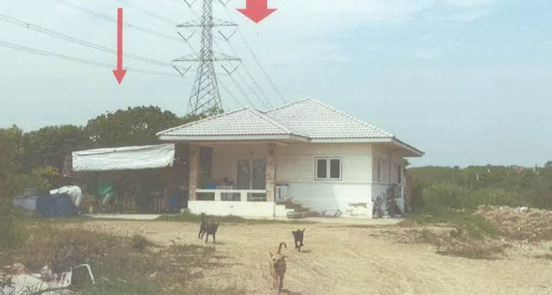 รูปที่ดินพร้อมสิ่งปลูกสร้าง ทุ่งบัว กำแพงแสน นครปฐม