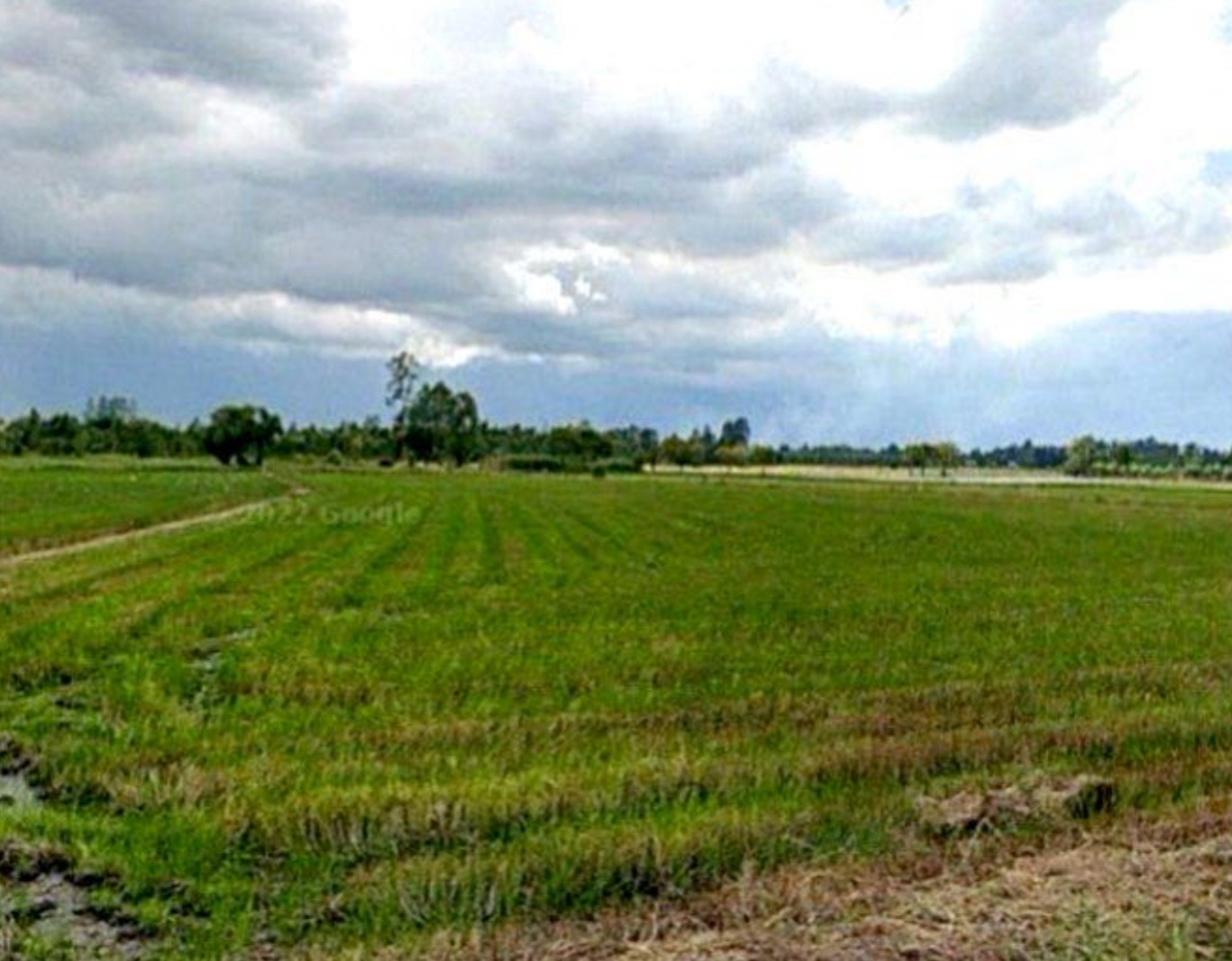รูปที่ดินว่างเปล่า หนองกรด บรรพตพิสัย นครสวรรค์