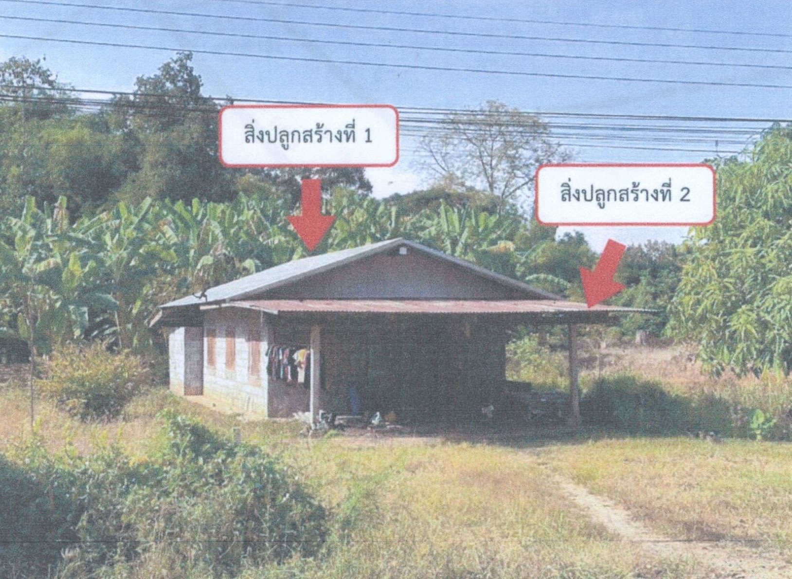 รูปที่ดินพร้อมสิ่งปลูกสร้าง ท่าบัว โพทะเล พิจิตร