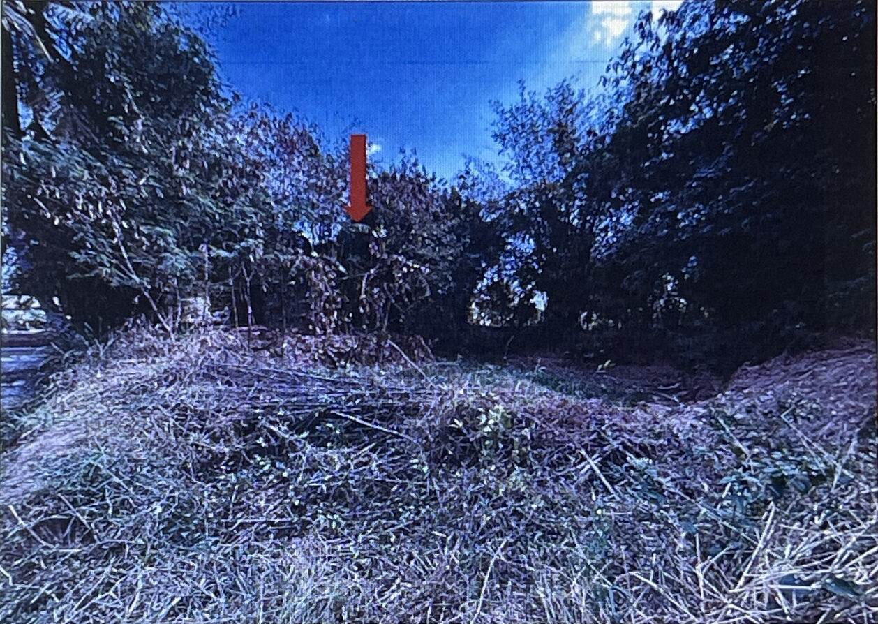 รูปที่ดินว่างเปล่า ยางน้อย โกสุมพิสัย มหาสารคาม