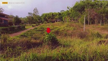รูปที่ดินว่างเปล่า ท่าพญา ปะเหลียน ตรัง