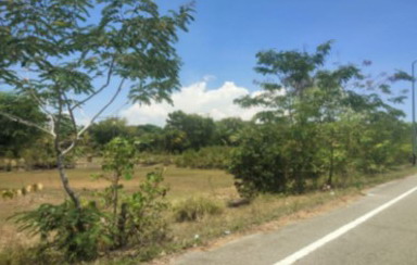 รูปที่ดินว่างเปล่า แหลมสน ละงู สตูล