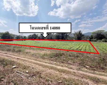 รูปที่ดินว่างเปล่า ทุ่งหัวช้าง ทุ่งหัวช้าง ลำพูน