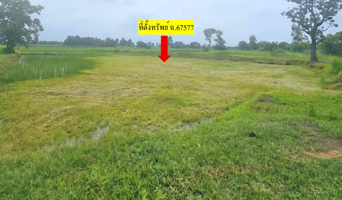 รูปที่ดินว่างเปล่า พังงู หนองหาน อุดรธานี
