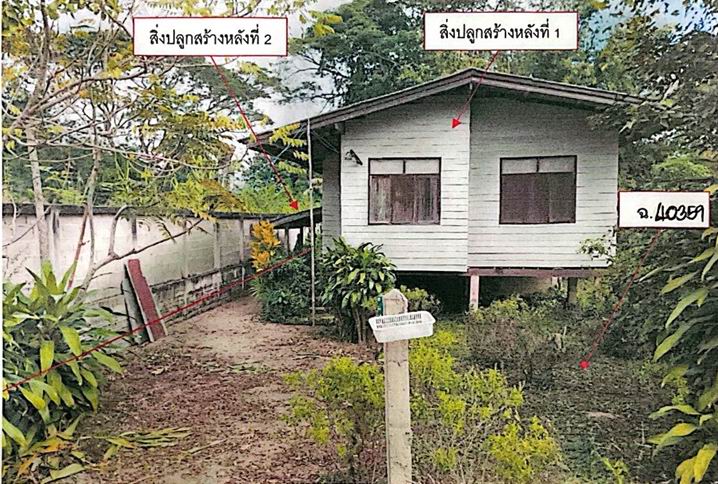 รูปที่ดินพร้อมสิ่งปลูกสร้าง ป่าอ้อดอนชัย เมืองเชียงราย เชียงราย