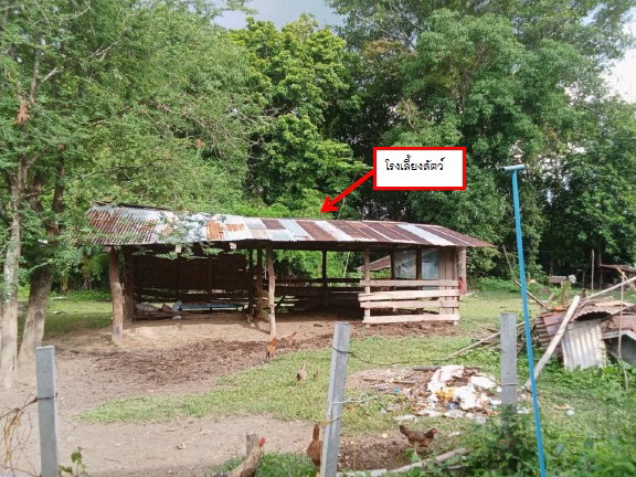 รูปที่ดินพร้อมสิ่งปลูกสร้าง ไชยบุรี ท่าอุเทน นครพนม