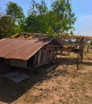 รูปที่ดินว่างเปล่า บ้านไผ่ บ้านไผ่ ขอนแก่น