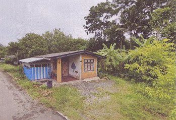 รูปที่ดินพร้อมสิ่งปลูกสร้าง บ้านโพธิ์ เมืองตรัง ตรัง
