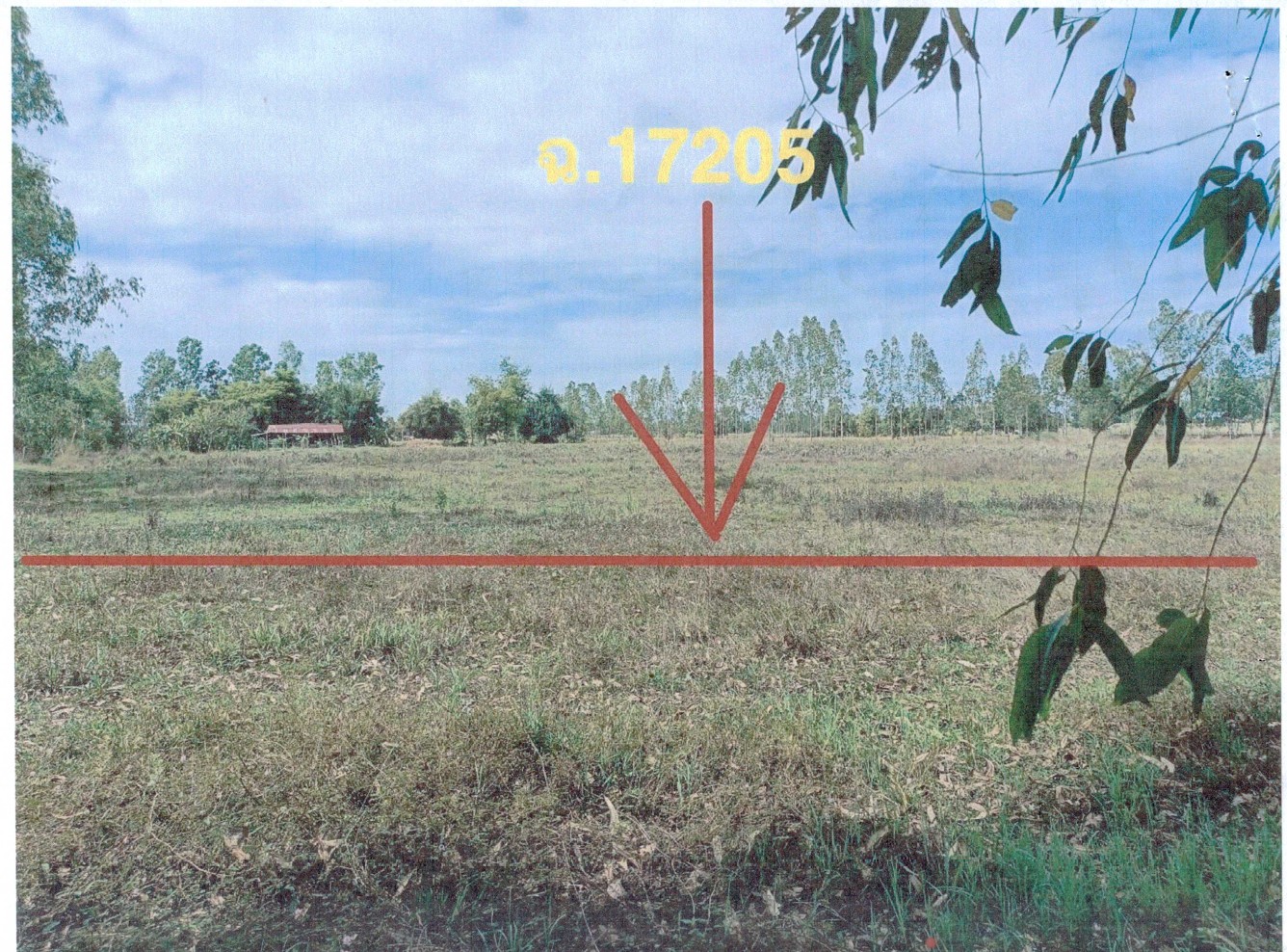 รูปที่ดินว่างเปล่า บ้านฝาง สระใคร หนองคาย