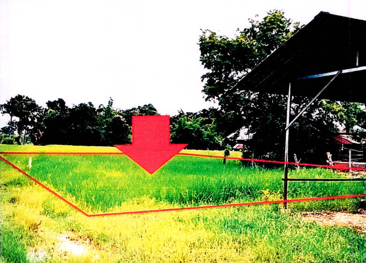 รูปที่ดินว่างเปล่า บัวหุ่ง ราษีไศล ศรีสะเกษ