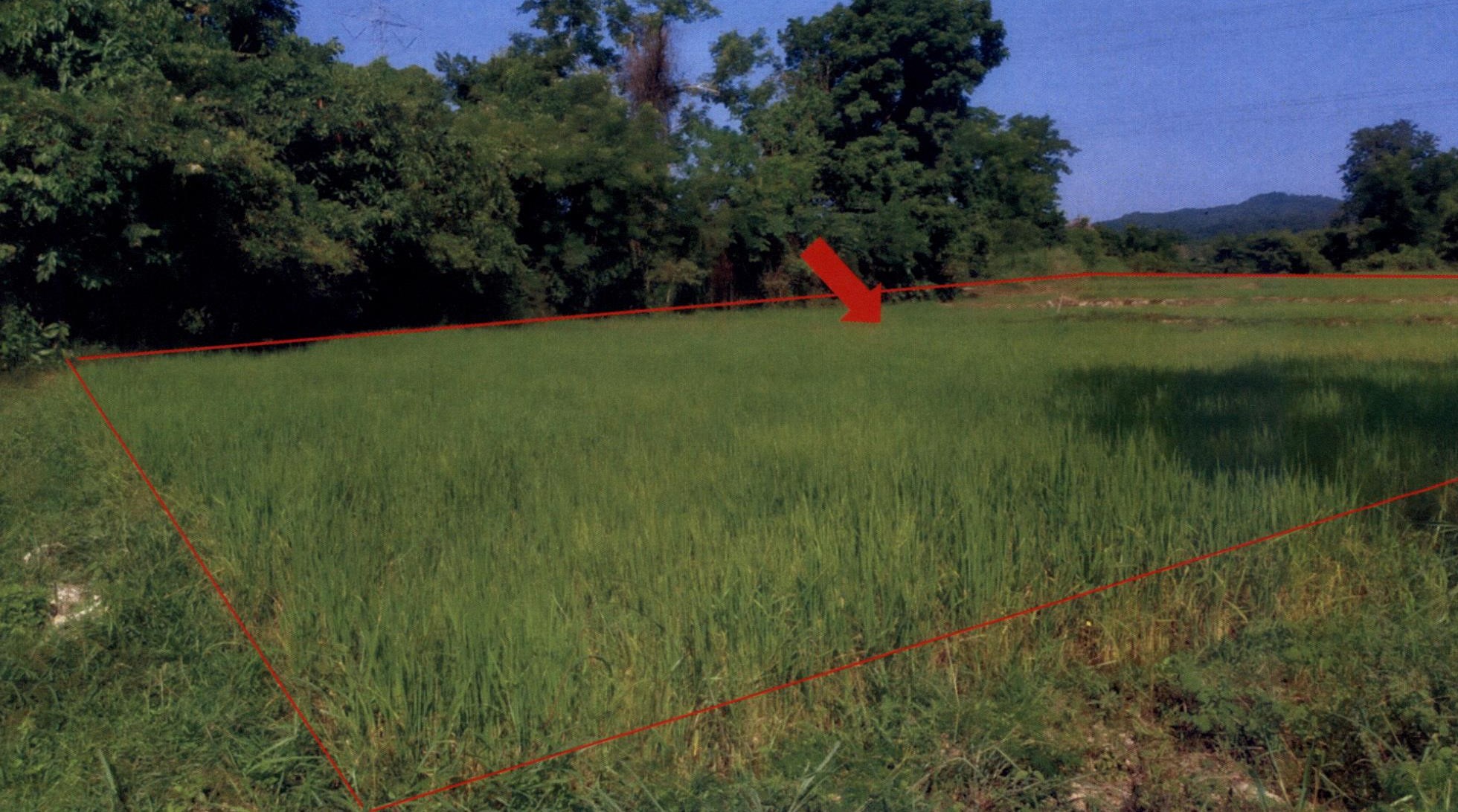 รูปที่ดินว่างเปล่า แม่ทราย ร้องกวาง แพร่
