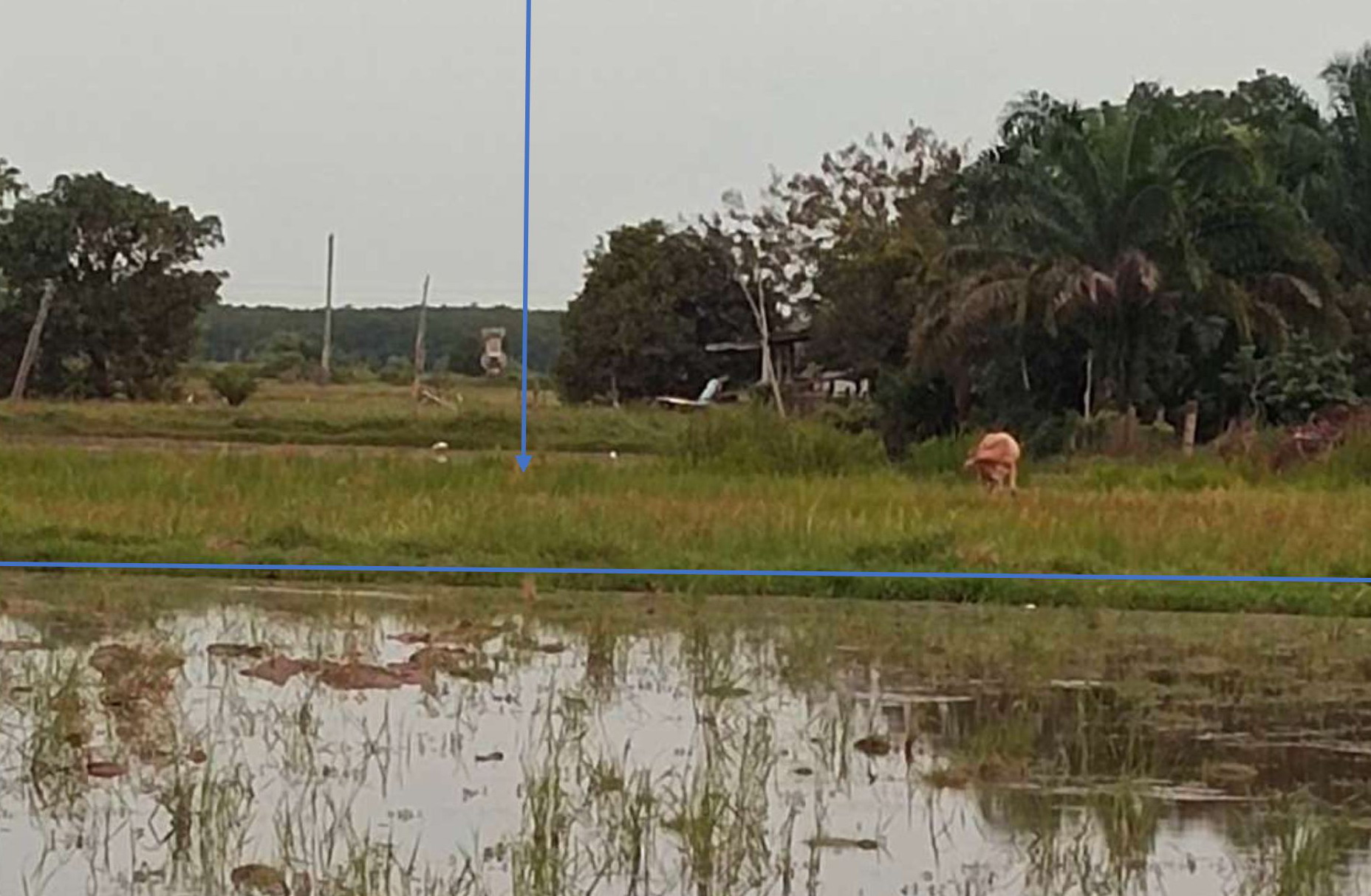 รูปที่ดินว่างเปล่า ปะโด มายอ ปัตตานี