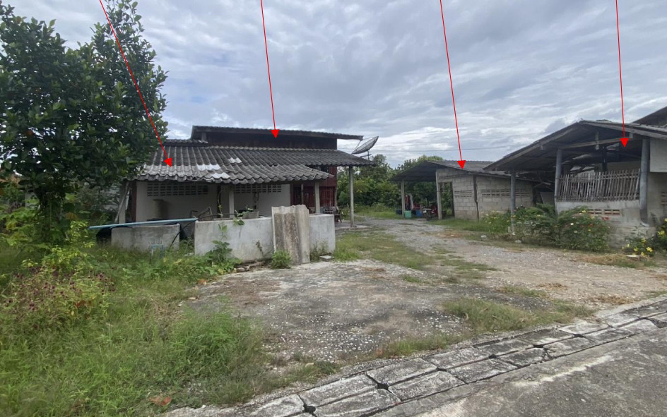 รูปที่ดินพร้อมสิ่งปลูกสร้าง มะขุนหวาน สันป่าตอง เชียงใหม่