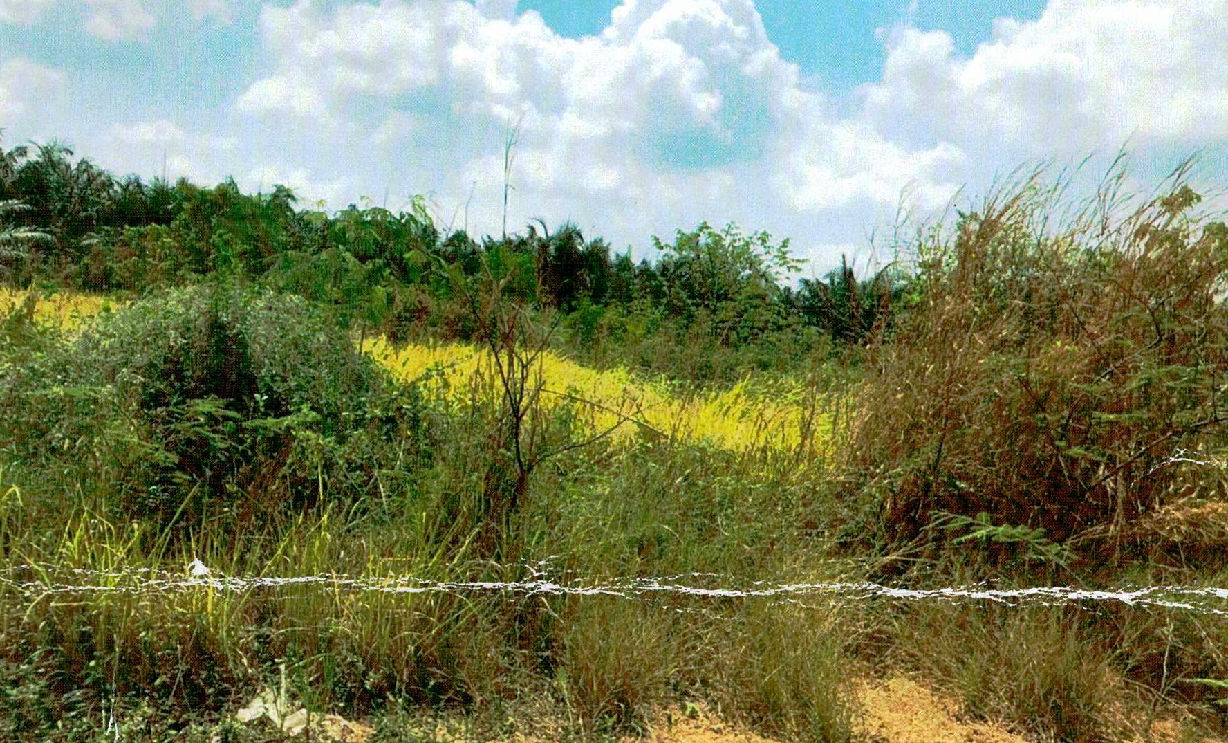 รูปที่ดินว่างเปล่า บึงคอไห ลำลูกกา ปทุมธานี