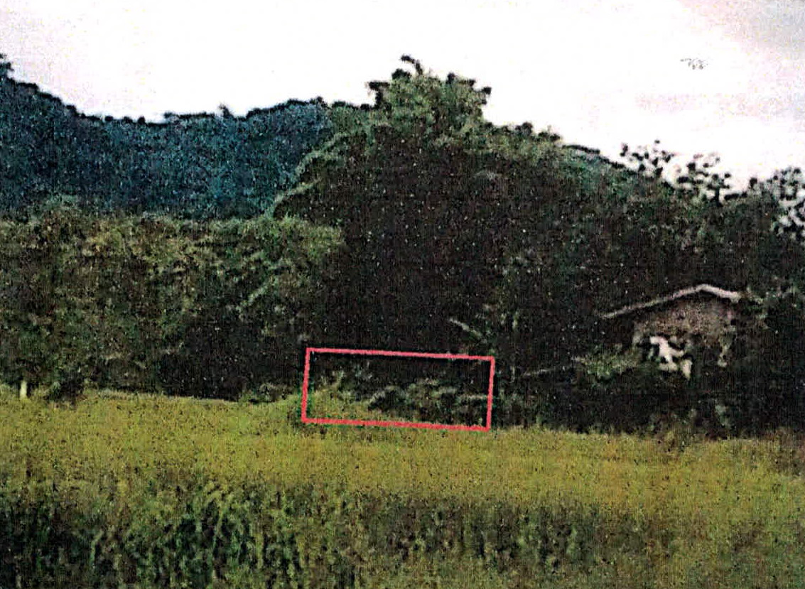 รูปที่ดินว่างเปล่า บ้านแลง เมืองลำปาง ลำปาง