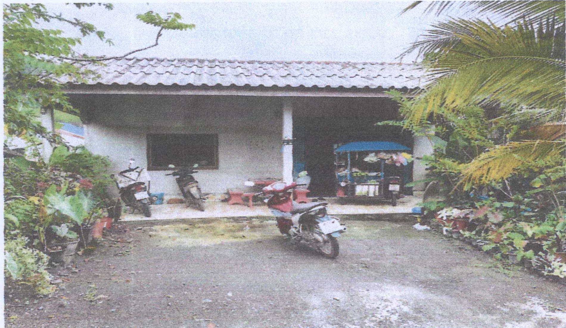รูปที่ดินพร้อมสิ่งปลูกสร้าง นาทอน ทุ่งหว้า สตูล