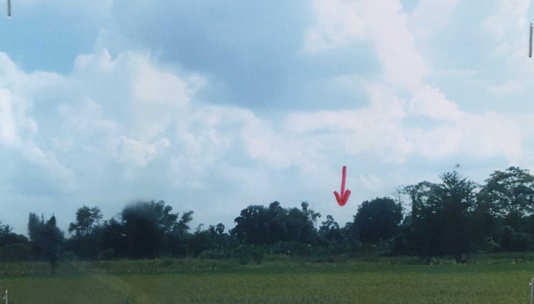 รูปที่ดินว่างเปล่า ยางตาล โกรกพระ นครสวรรค์