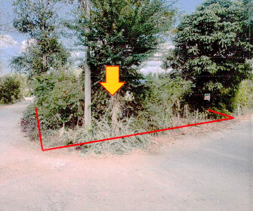รูปที่ดินว่างเปล่า ตำแย พยุห์ ศรีสะเกษ